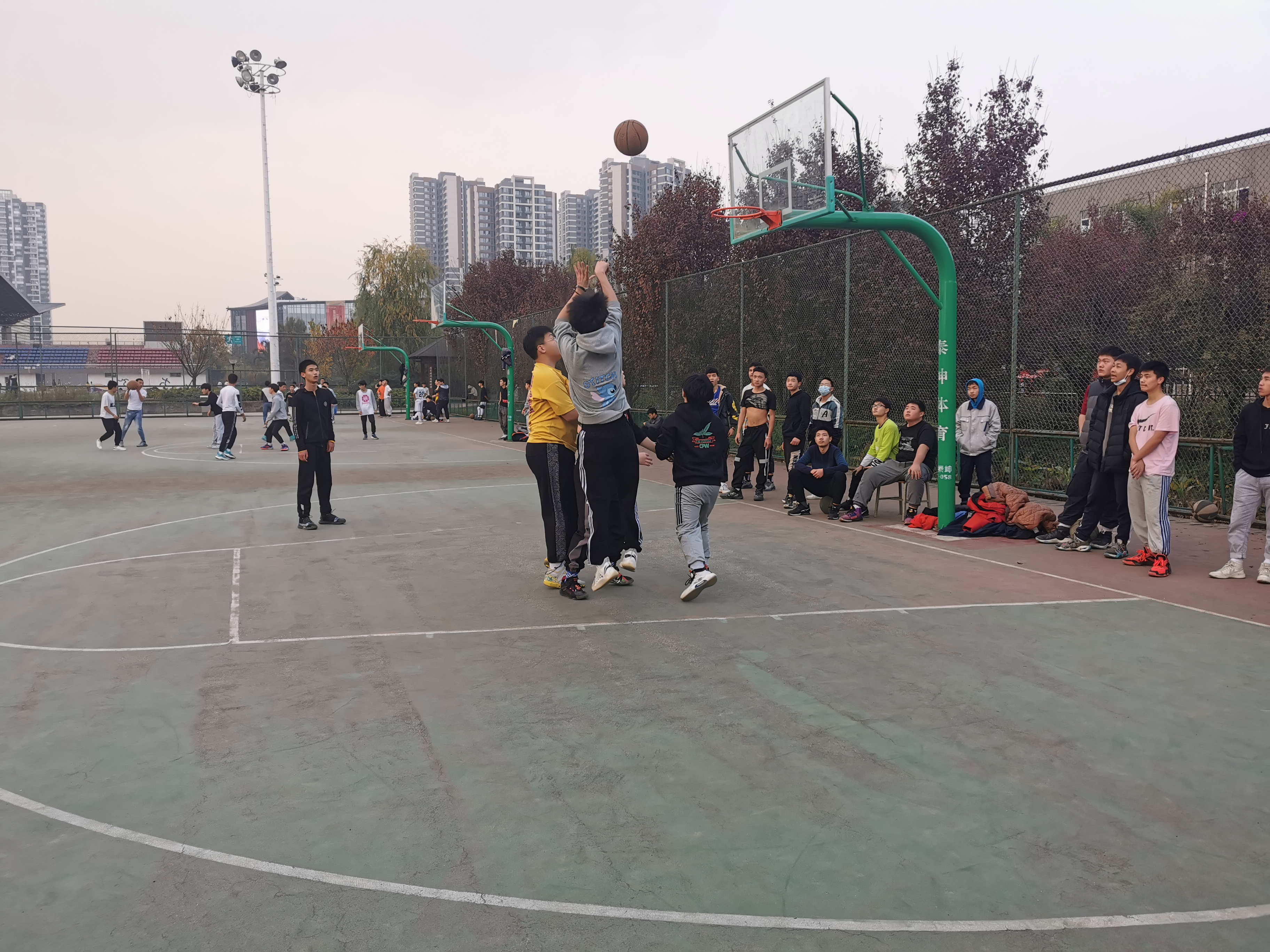 篮球友谊赛-杨蕾.jpg