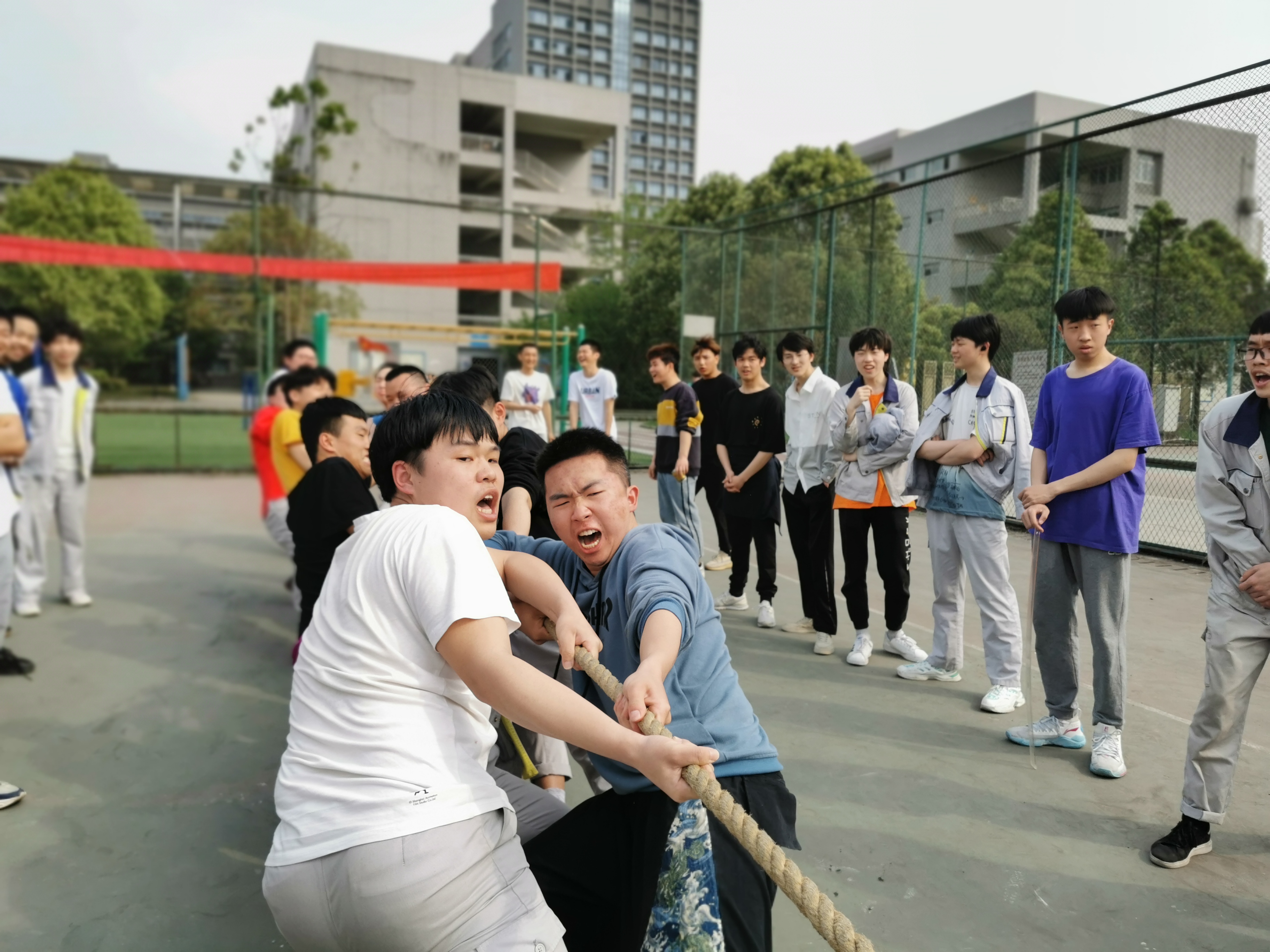 IMG_20210330_155954.jpg IMG_20210330_155954.jpg